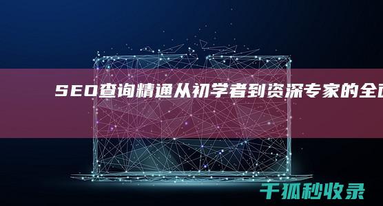 SEO 查询精通：从初学者到资深专家的全面指南 (seo查询seo)