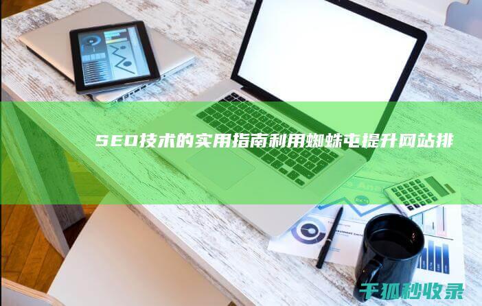 SEO 技术的实用指南：利用蜘蛛屯提升网站排名 (seo的技术包括哪些)