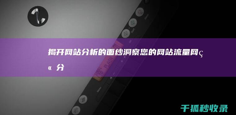 揭开网站分析的面纱：洞察您的网站流量 (网站分析从哪几个方面分析)