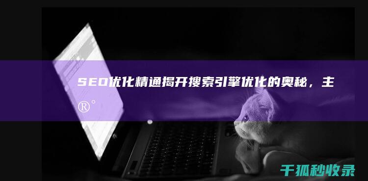 SEO 优化精通：揭开搜索引擎优化的奥秘，主宰有机搜索结果 (SEO优化精灵)