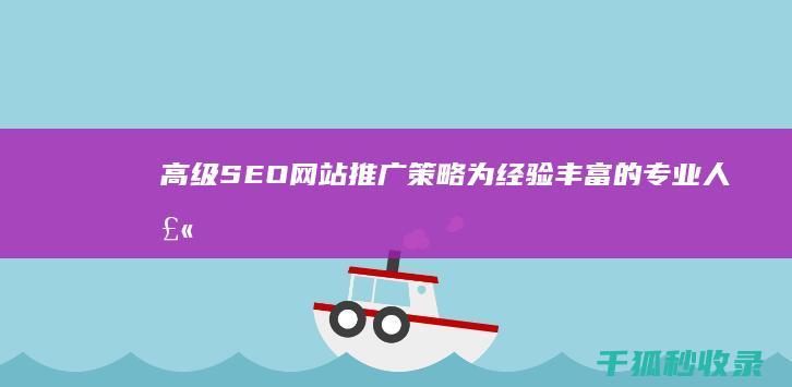 高级 SEO 网站推广策略：为经验丰富的专业人士量身定制 (高级seo专员)