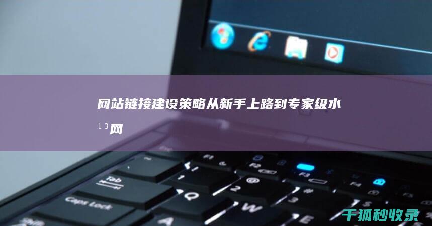 网站链接建设策略：从新手上路到专家级水平 (网站链接建设内容不包括)