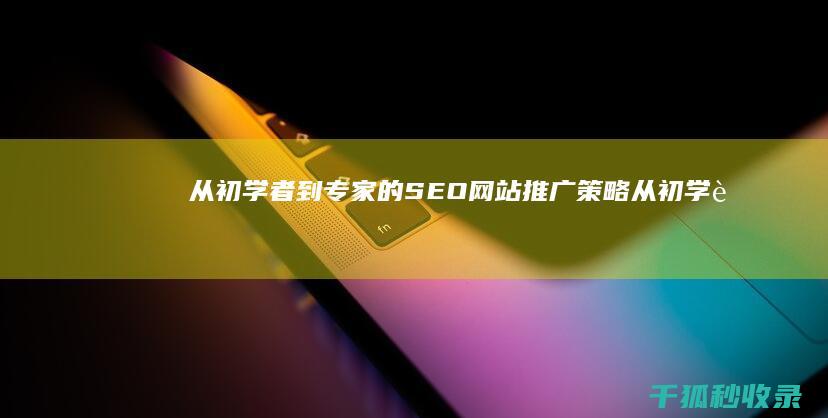 从初学者到专家的SEO网站推广策略 (从初学者到专家的五阶段理念)