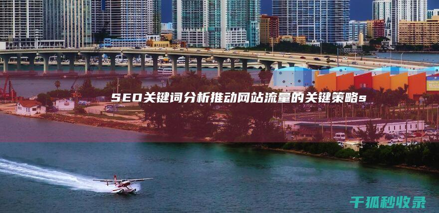 SEO 关键词分析：推动网站流量的关键策略 (seo关键词优化软件)