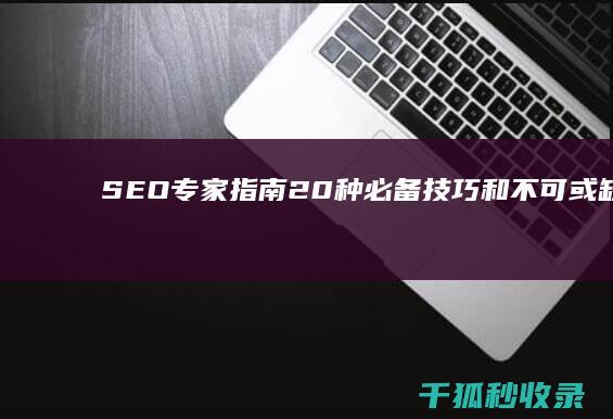 SEO 专家指南：20 种必备技巧和不可或缺的工具，助你主宰搜索结果 (资深seo专家)