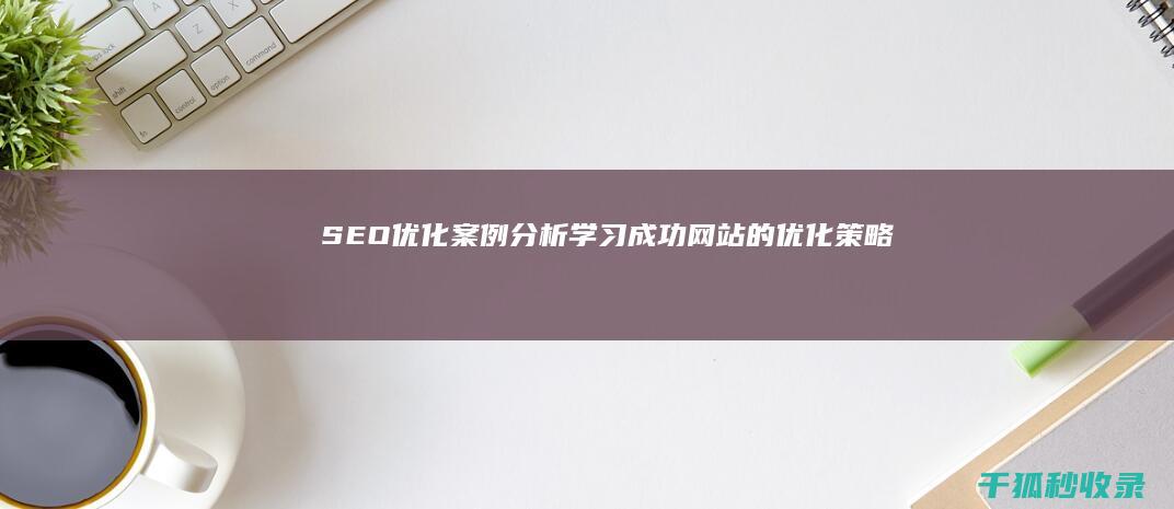 SEO优化案例分析：学习成功网站的优化策略 (seo的优化方案)