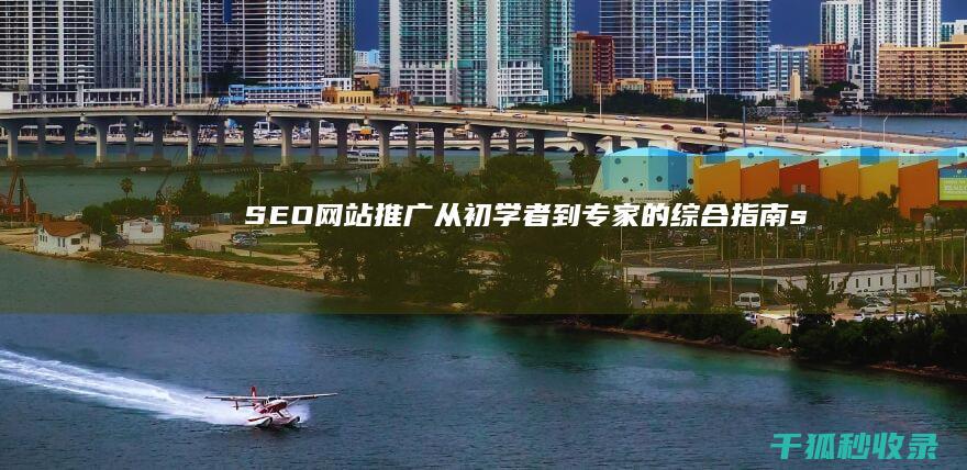 SEO 网站推广：从初学者到专家的综合指南 (seo网站推广怎么做)