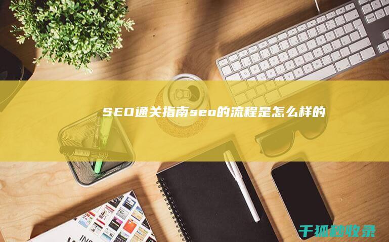 SEO通关指南 (seo的流程是怎么样的)